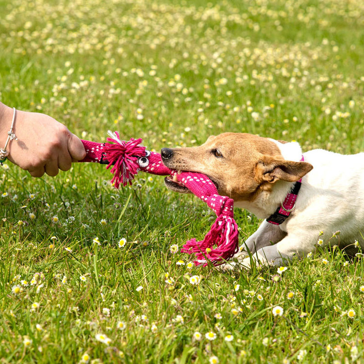 ROGZ - Scrubz - Galerie 2