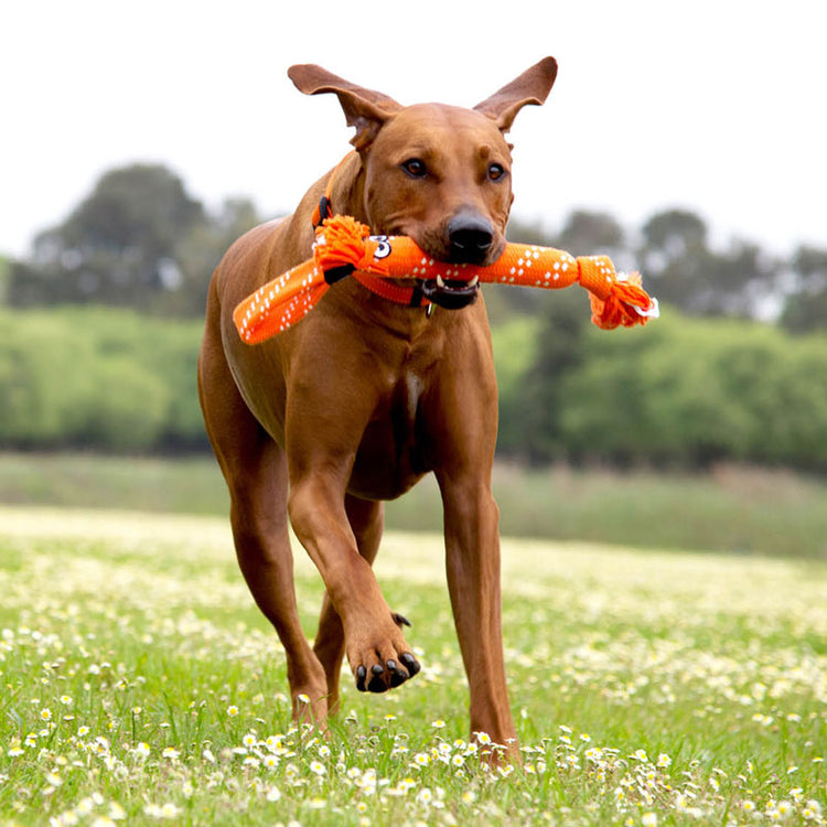 ROGZ - Scrubz - Galerie 3