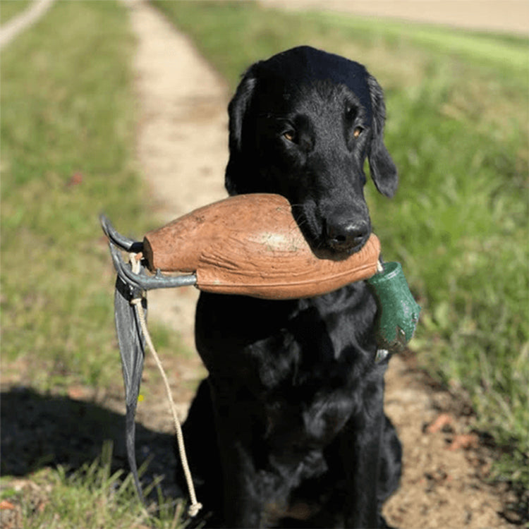 ROMNEYS - Fasan - Dokkens Dead Fowl Dummy | Trainingsdummy