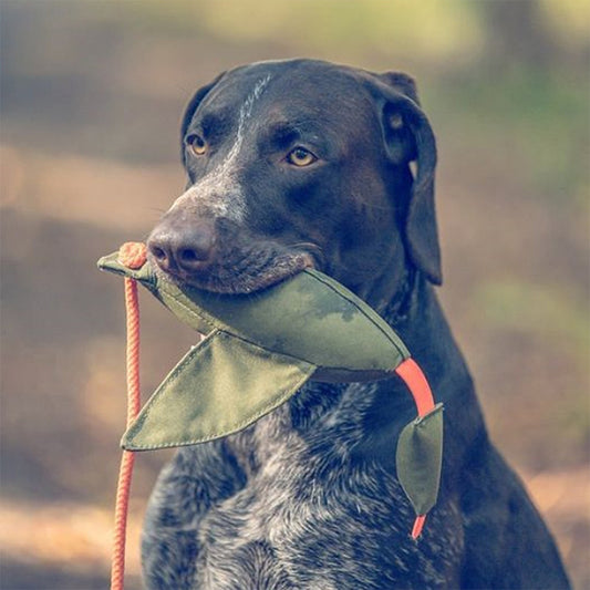 ROMNEYS - Duck Dummy - Entendummy - 400g | Trainingsdummy