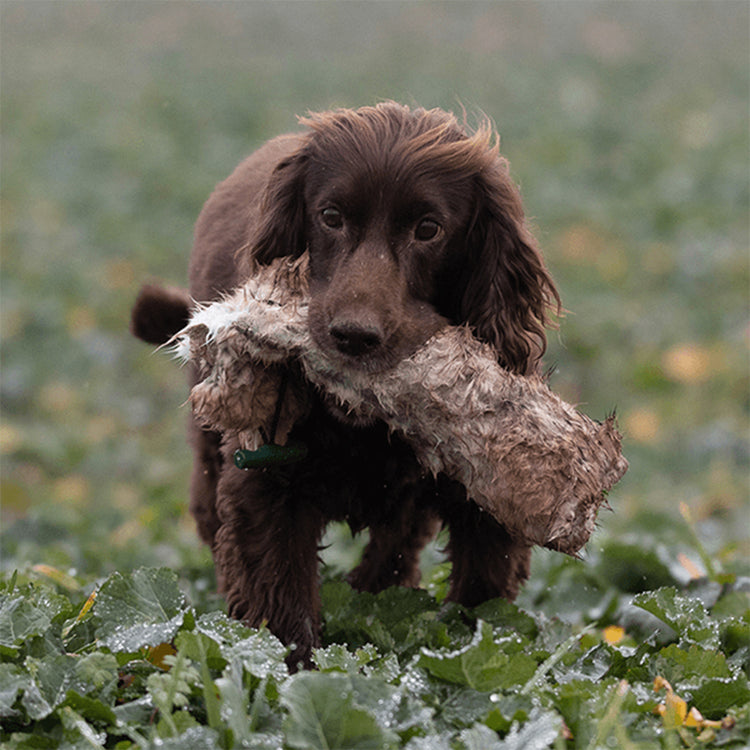 ROMNEYS - Kaninchendummy - 500g | Trainingsdummy