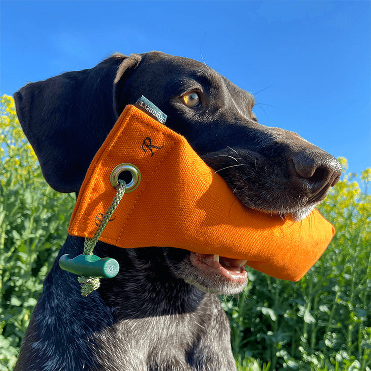 ROMNEYS - Standard Dummy - 500g | Trainingsdummy