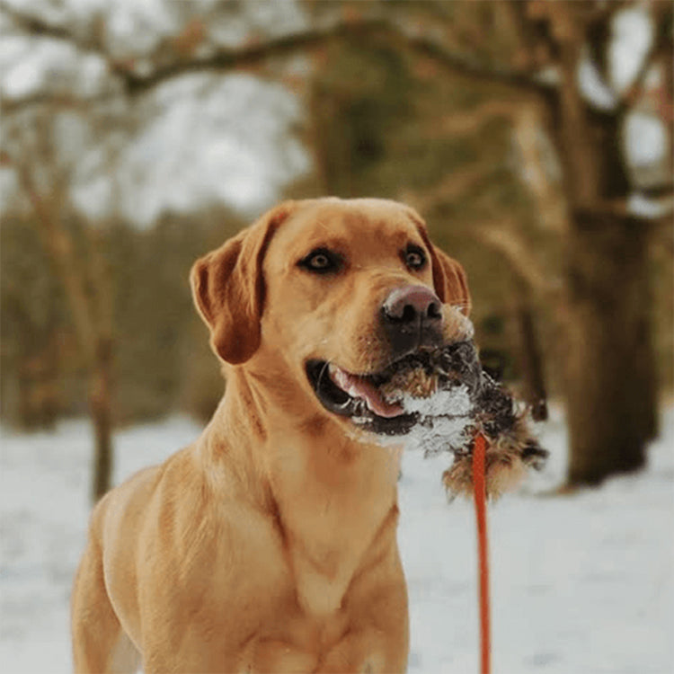 ROMNEYS - Dummy Ball mit Kaninchenfell | Trainingsdummy
