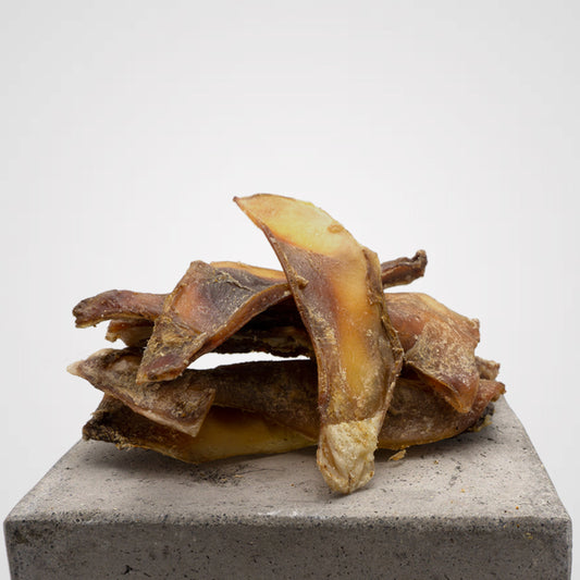 Schulterknorpel Kalb