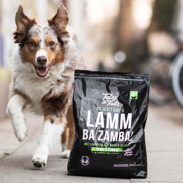 Tales&Tails - Lamm & Gemüse | getreidefreies Premiumtrockenfutter