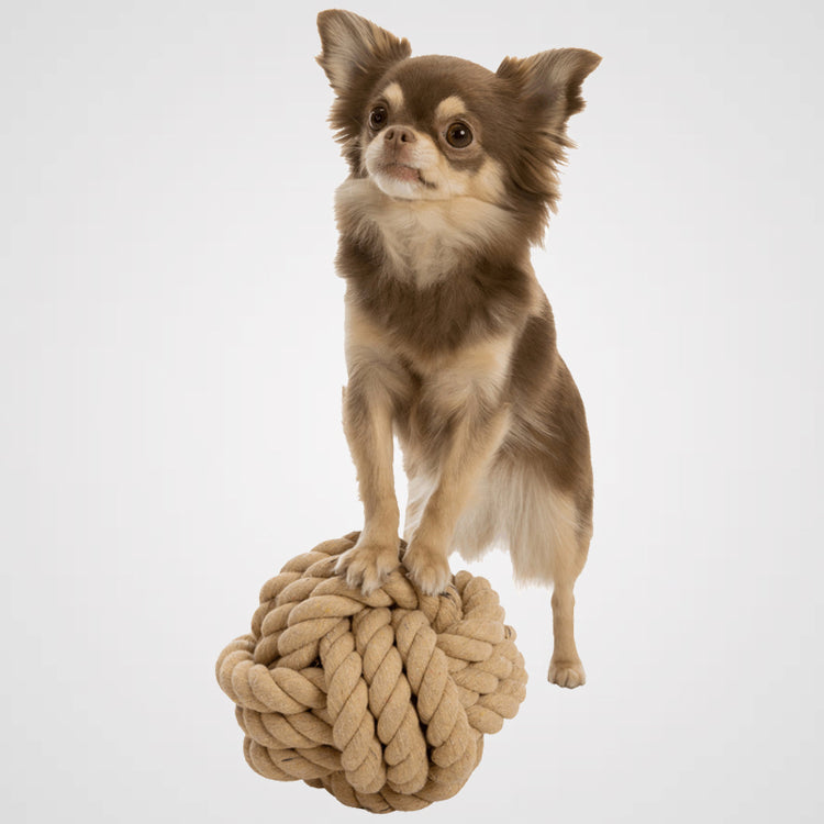 Tau-Ball Produktbild