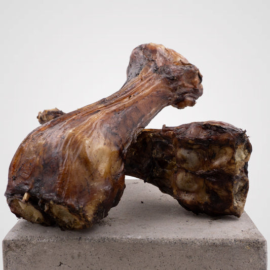 Treter vom Kalb - Kalbsunterbein