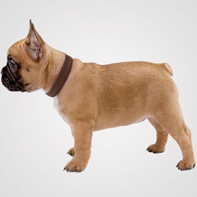 Vario Plus Galerie 1