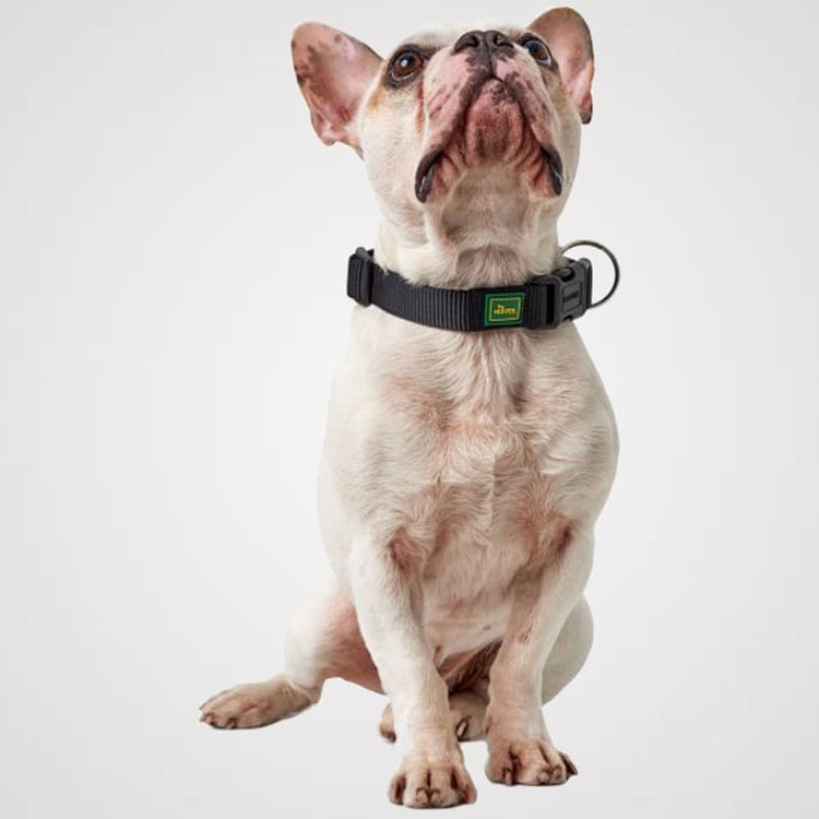 Vario Plus Galerie 2