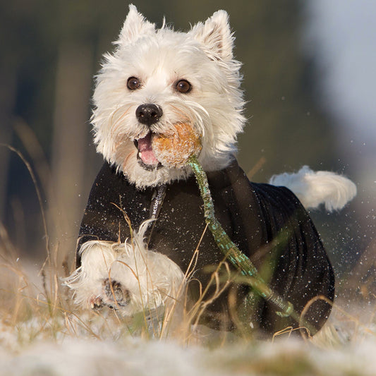 WarmUm Classic Mini - Produktbild