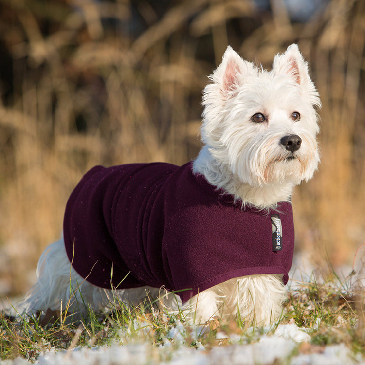 WARMUP cape Classic mini | wärmender Hundemantel für kleine Hunde