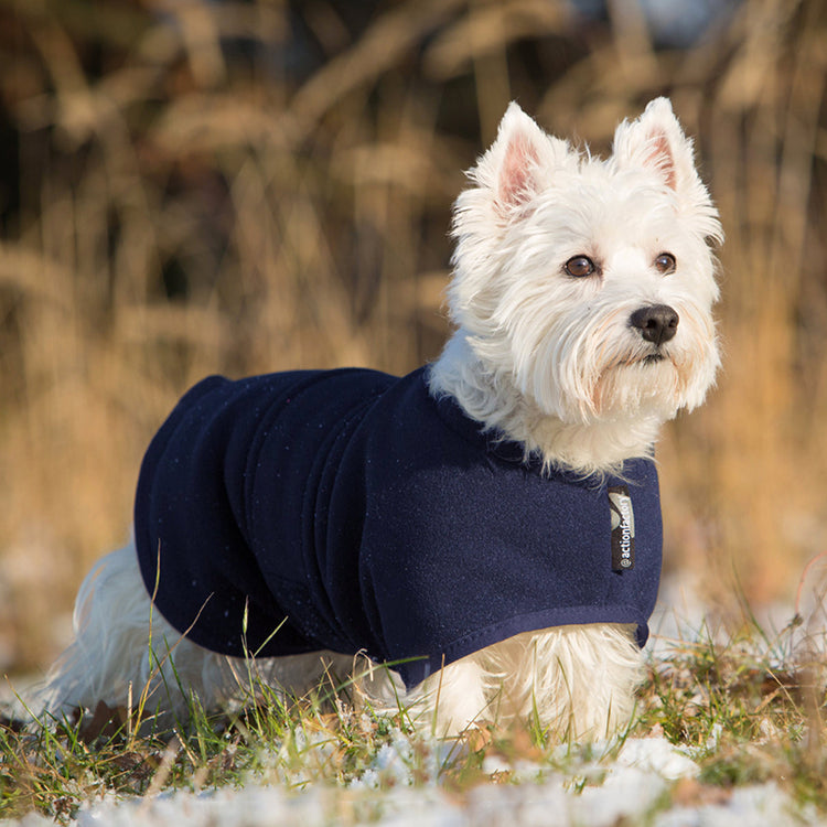 WARMUP cape Classic mini | wärmender Hundemantel für kleine Hunde