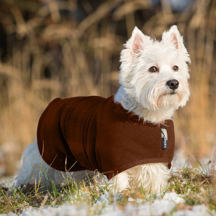 WARMUP cape Classic mini | wärmender Hundemantel für kleine Hunde