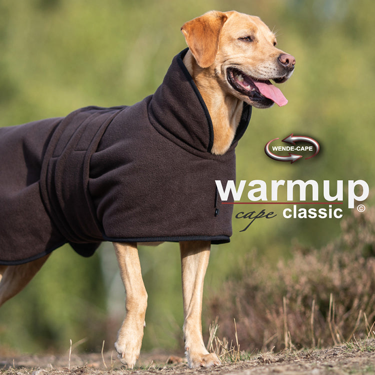 WarmUp Classic - Galerie 1