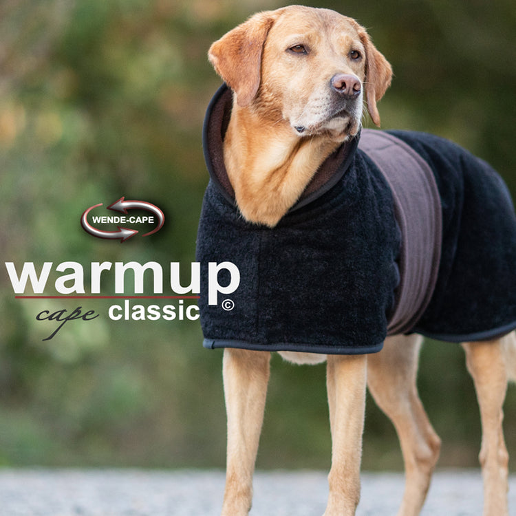 WarmUp Classic - Galerie 2