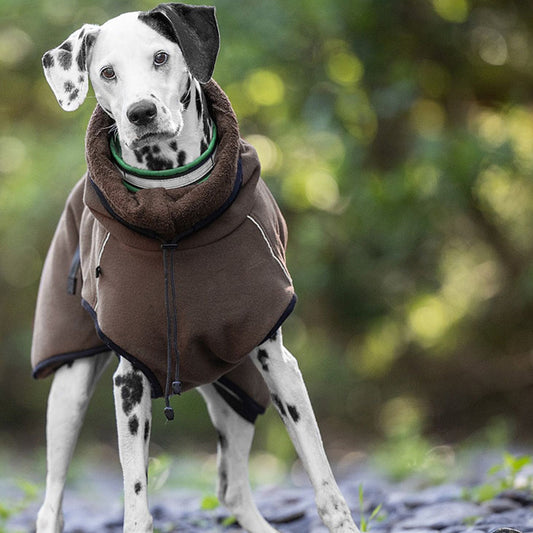 WARMUP cape Pro | wärmender Hundemantel zum Wenden mit Kragen
