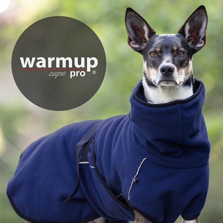 WARMUP cape Pro | wärmender Hundemantel zum Wenden mit Kragen