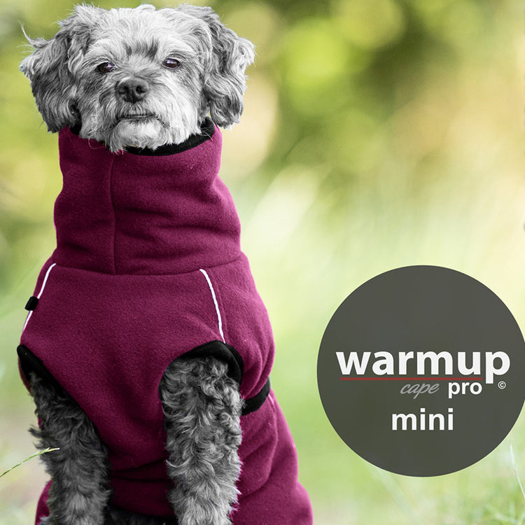 WARMUP cape Pro mini | funktioneller Hundemantel für kleine Hunde