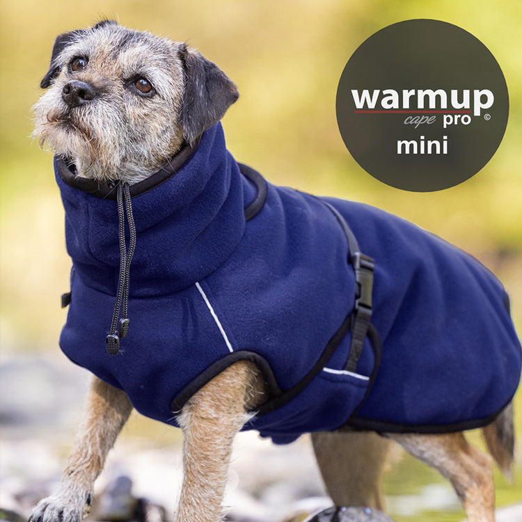 WARMUP cape Pro mini | funktioneller Hundemantel für kleine Hunde