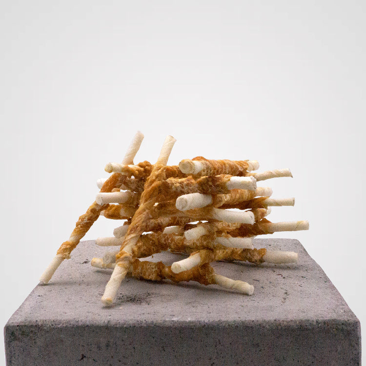 Welpensticks in 4 leckeren Sorten | Premium-Kauartikel für Deinen Hund