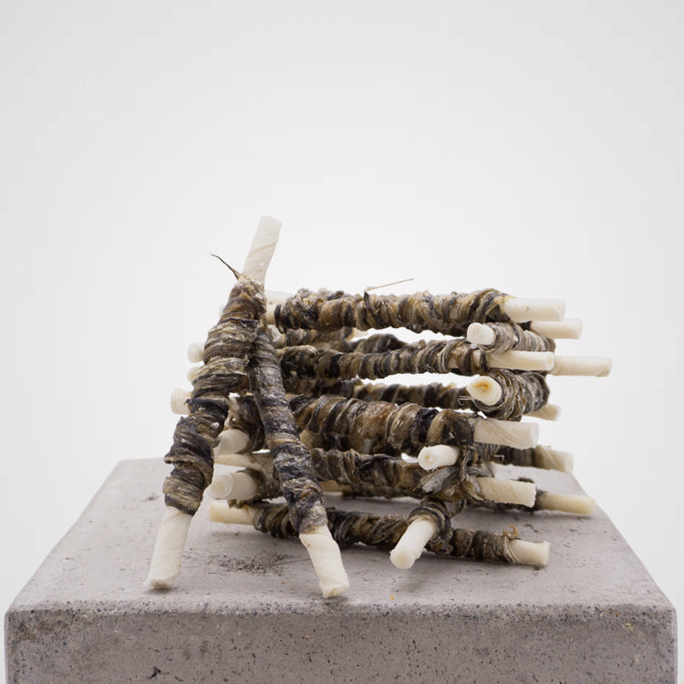 Welpensticks in 4 leckeren Sorten | Premium-Kauartikel für Deinen Hund