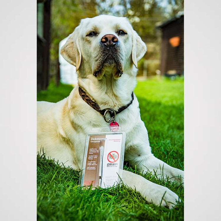 Zeckenzange Galerie 2