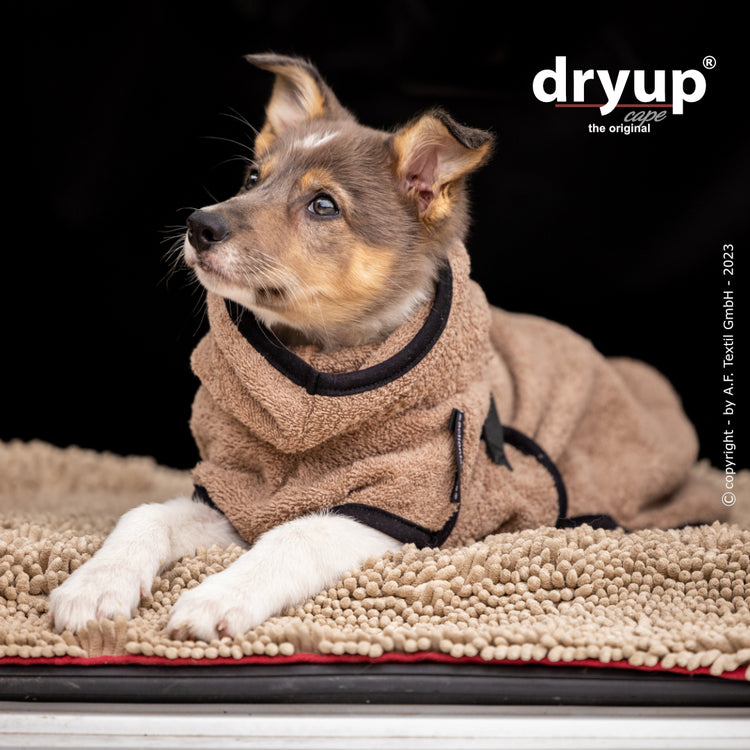 DRYUP cape Mini | Hundebademantel für kleine Hunde