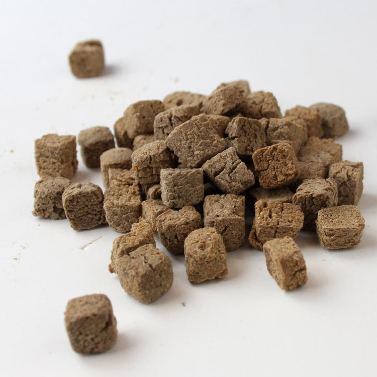 ente_futter_203205ac32d5db3661