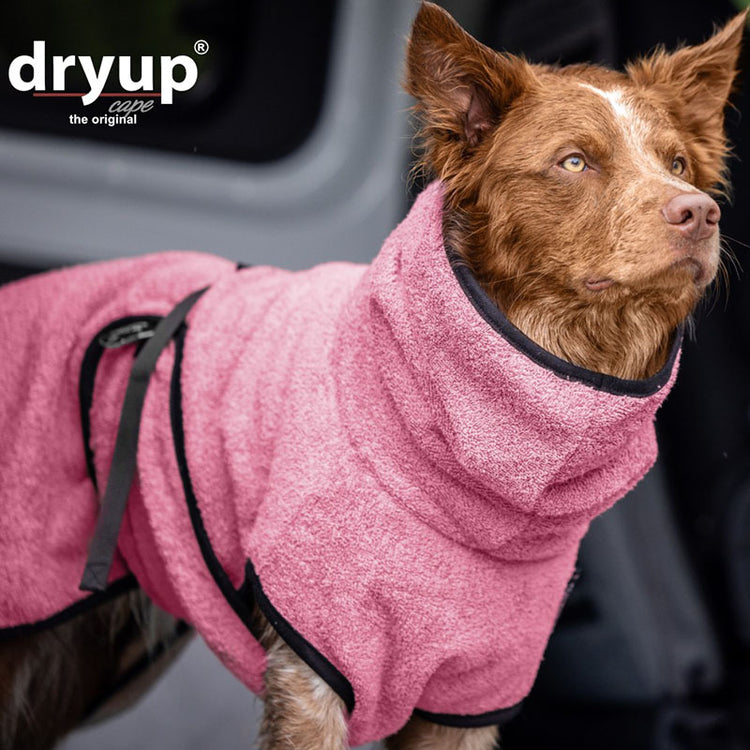 DRYUP cape | Hundebademantel - für große Hunde (Gr. L bis XXL)