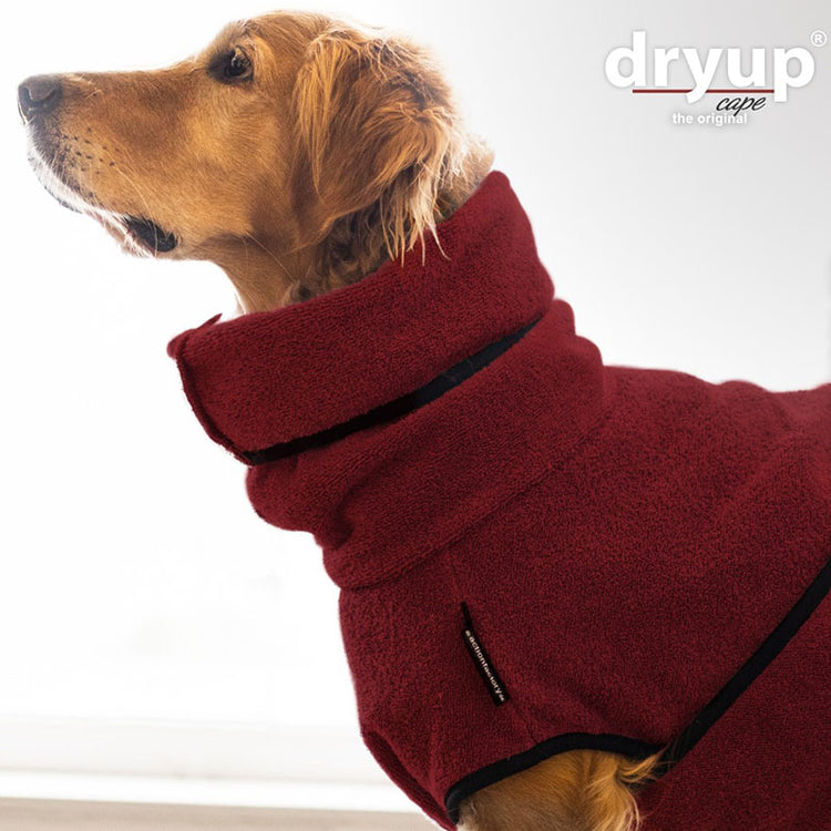 DRYUP cape | Hundebademantel - für große Hunde (Gr. L bis XXL)