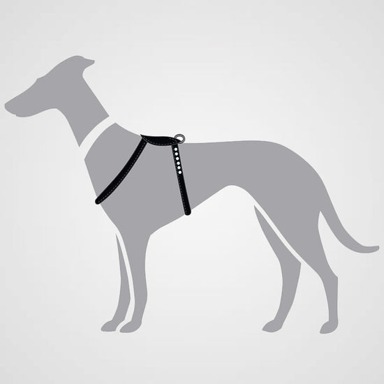 nobleza hondenriem rond soft grip nobleza hondenriem rond soft grip