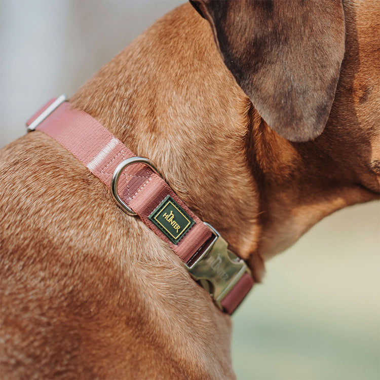 HUNTER - Inari Halsung| Hundehalsband mit Klickverschluss