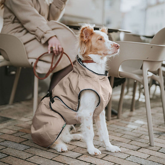 hunter schlafsack hund HUNTER - Uppsala