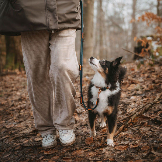 HUNTER - Malia Hundeleine | Verstellbare Führleine für Deinen Hund
