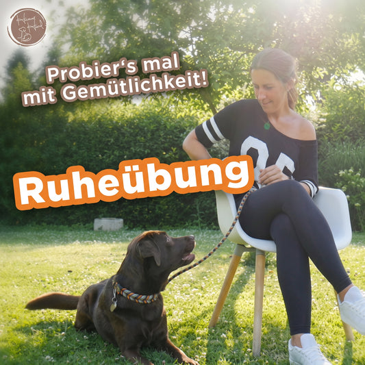 Probier's mal mit Gemütlichkeit - Ruhetraining für Deinen Hund