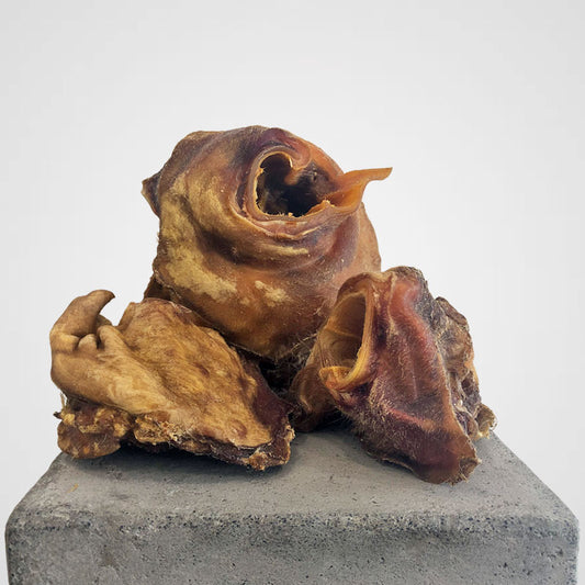 Rinderohrmuschel - für extra langen Kauspaß | Premium-Kauartikel für Deinen Hund