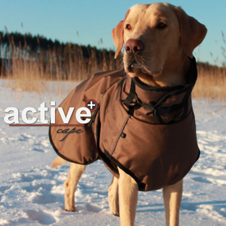 AUSLAUFMODELL - Active Cape Plus | wärmender Hundemantel - wasserabweisend & atmungsaktiv