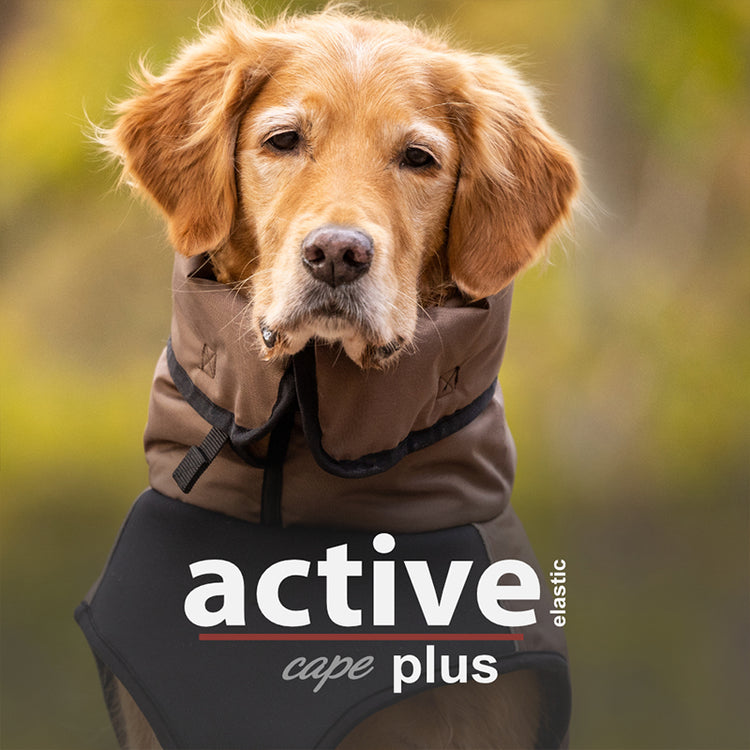 Active Cape Elastic Plus | wärmender Hundemantel - wasserabweisend & atmungsaktiv