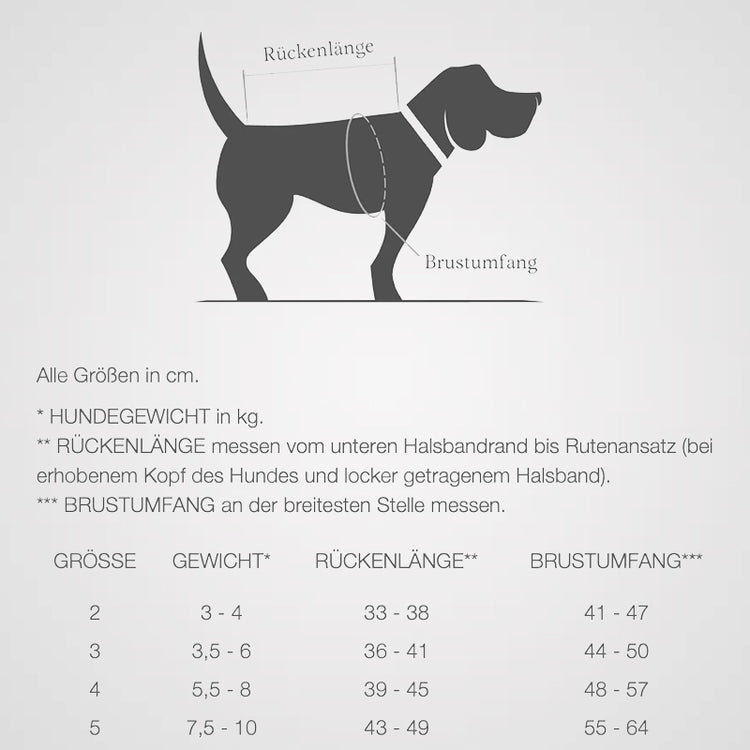 Cloud7 - Hundemantel Brooklyn | Hundewintermantel für Dackel