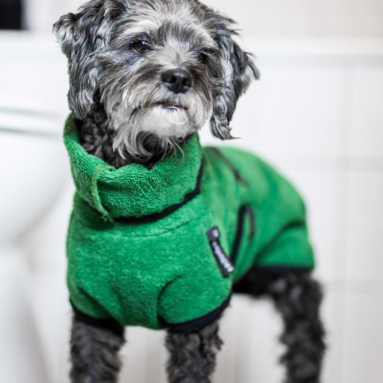 DRYUP cape Mini | Hundebademantel für kleine Hunde