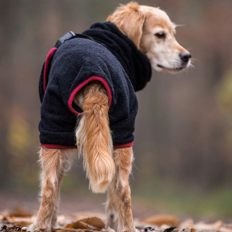 DRYUP cape | Hundebademantel - aus 100% Baumwoll-Frottee