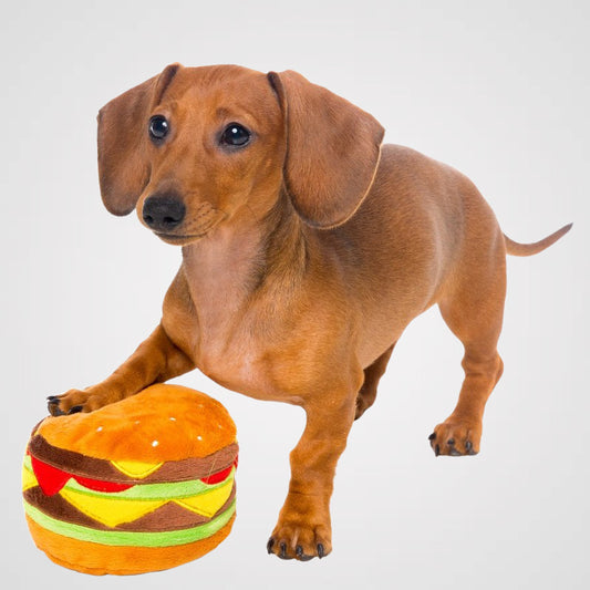 FUZZYARD - Hamburger | lustiges Hundespielzeug