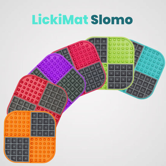 LickiMat SLOMO - Produktbild