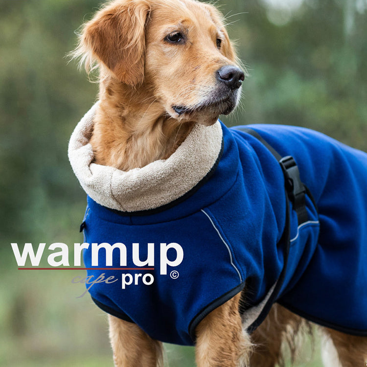 WARMUP cape Pro | wärmender Hundemantel zum Wenden mit Kragen