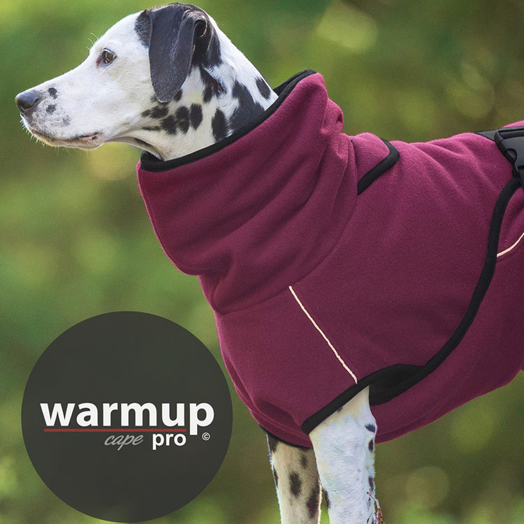 WARMUP cape Pro | wärmender Hundemantel zum Wenden mit Kragen